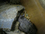 DSCF3955.JPG