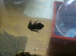 DSCF3956.JPG
