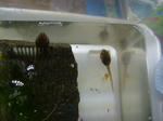 DSCF3960.JPG
