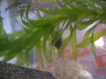 DSCF3961.JPG