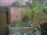 DSCF3908.JPG
