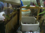 DSCF3951.JPG