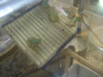 DSCF3952.JPG