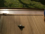 DSCF3645.JPG