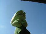DSCF3505.JPG
