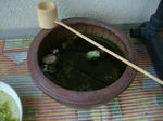 DSCF3971.JPG