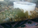 DSCF3974.JPG
