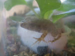 DSCF3975.JPG