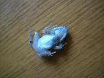 DSCF3981.JPG