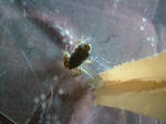 DSCF3982.JPG