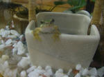 DSCF3984.JPG