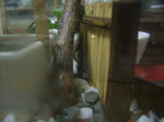 DSCF3991.JPG