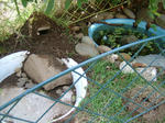DSCF4028.JPG