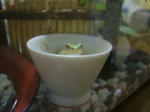 DSCF4025.JPG
