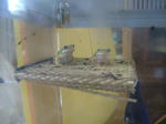 DSCF4027.JPG