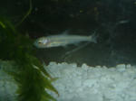 DSCF4059.JPG