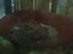 DSCF4079.JPG