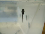 DSCF4099.JPG