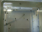 DSCF4105.JPG