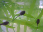 DSCF4113.JPG