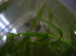 DSCF4129.JPG
