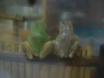 DSCF4101.JPG