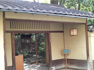 CIMG0880.JPG