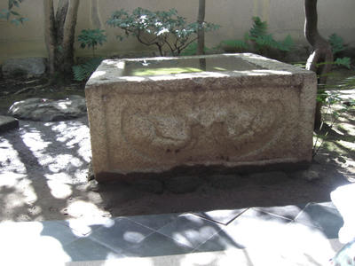 CIMG0907.JPG