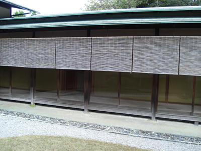 CIMG0975.JPG