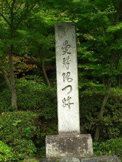 CIMG0948.JPG