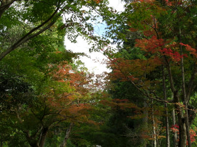 CIMG0949.JPG