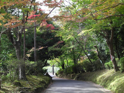 CIMG0950.JPG
