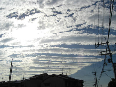 CIMG0969.JPG
