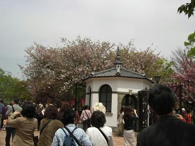 201042.JPG