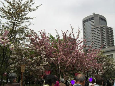 201046.JPG
