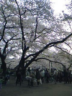 090406_1254~01.jpg