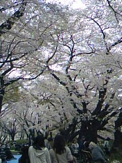090406_1308~02.jpg