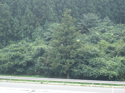 DSC01559.JPG