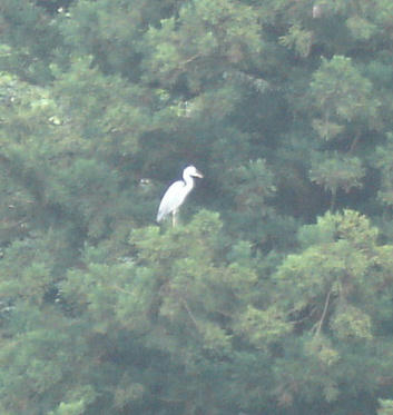 DSC01562.JPG