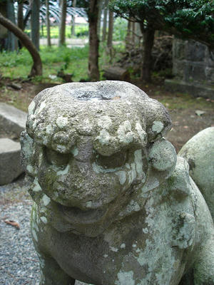 DSC01583.JPG