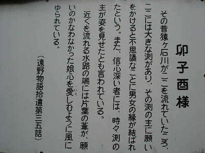 DSC01605.JPG