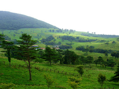 DSC01635.JPG