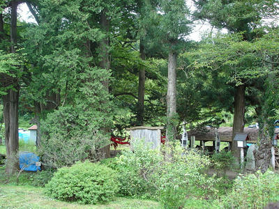 DSC01602.JPG