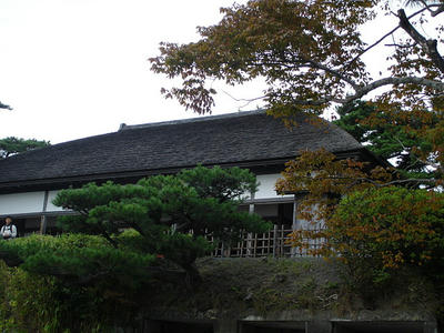 DSC01797.JPG