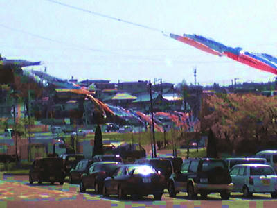 SBSH00991.JPG