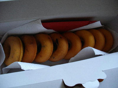 IMGP0248.JPG