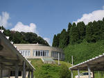 P7301484.jpg