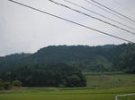 P8021505.jpg