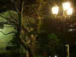 P9181856.jpg