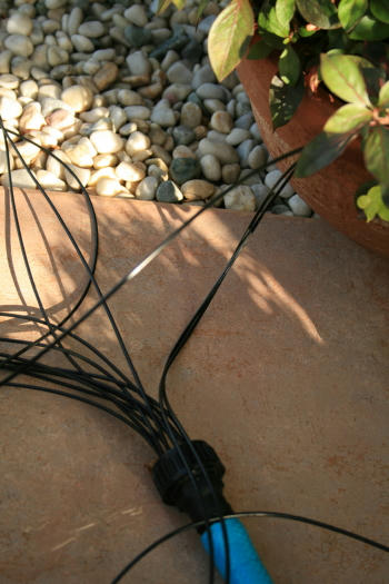 e389ebe8.jpg